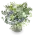 Kytice s hortenzií